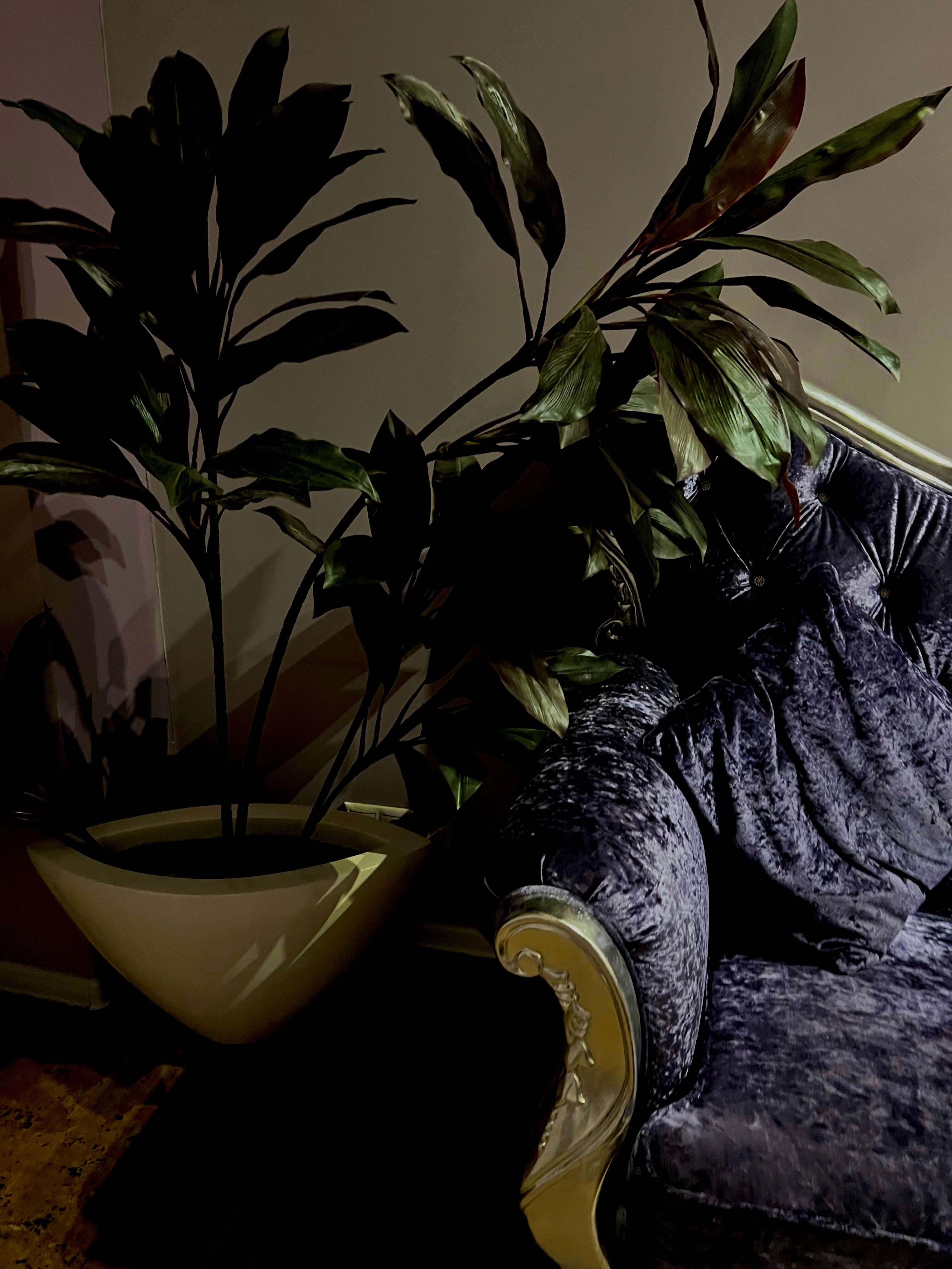 Фото Усадьба