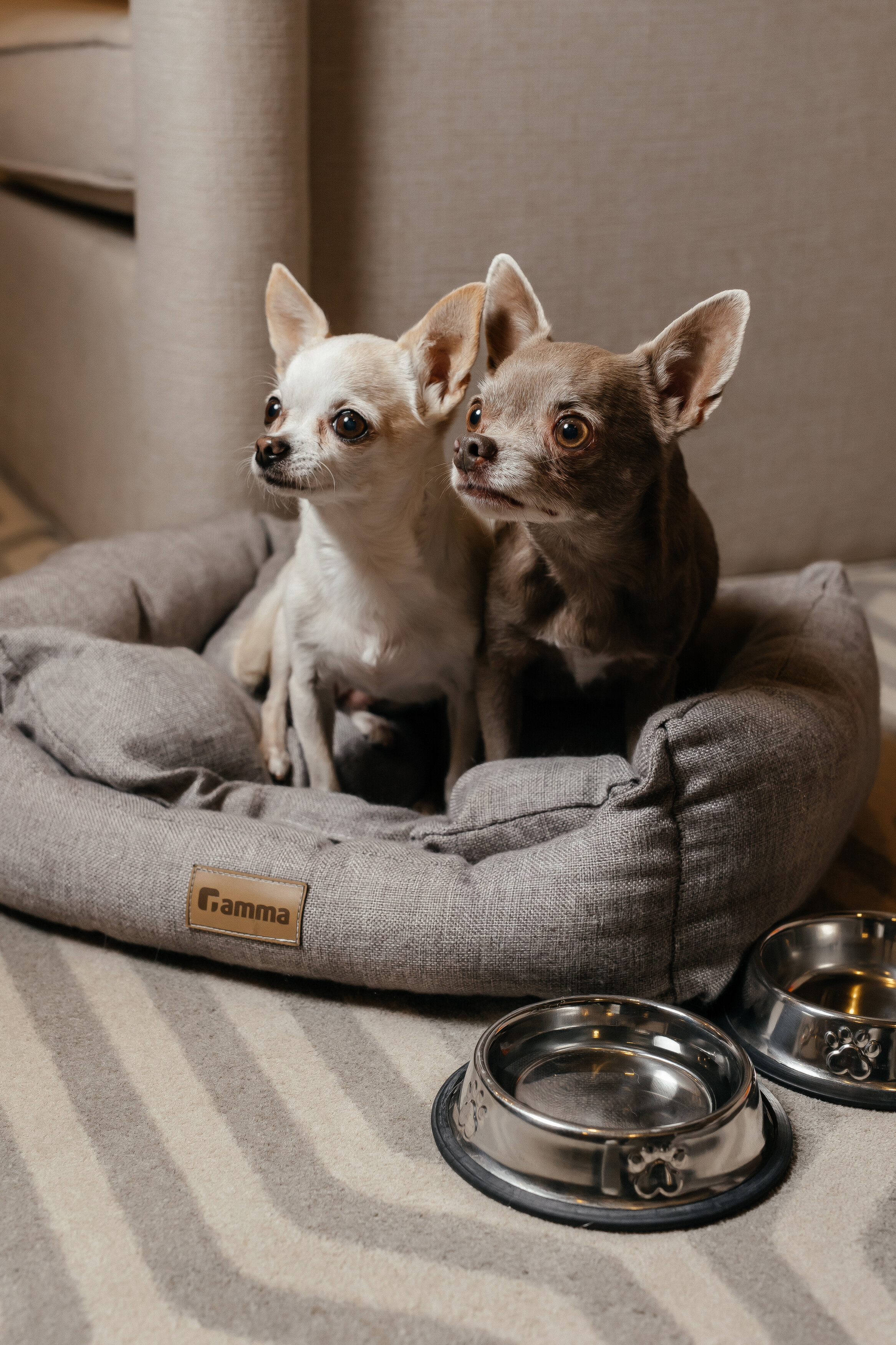 Фото Бутик-отель 39 by Sateen Group