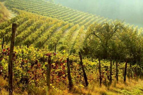 Внешний вид отеля Cascina Desderi в Асти, фото 4