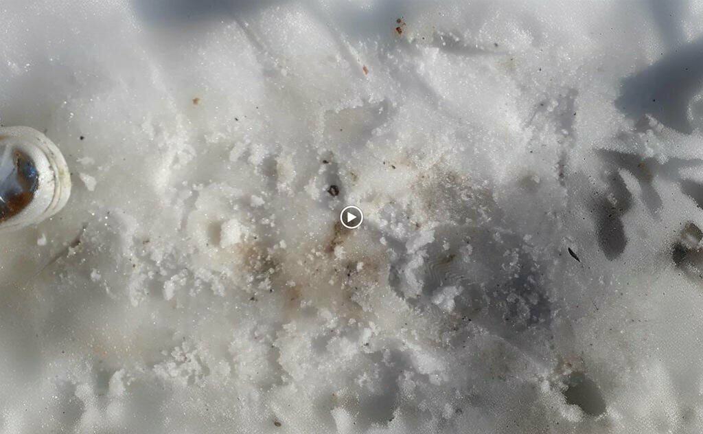 Mosque Rahmaniye Mosque, Cihanbeyli, photo