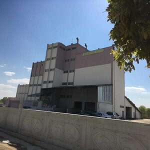 Sirin Flour (Çorum, Alaca, Denizhan Mah.), landmark, attraction