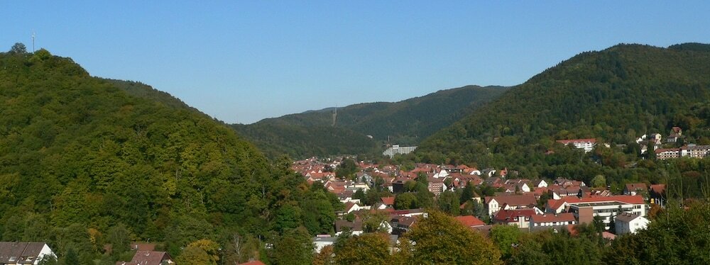 Фото Kneipp-Bund-Hotel Heikenberg