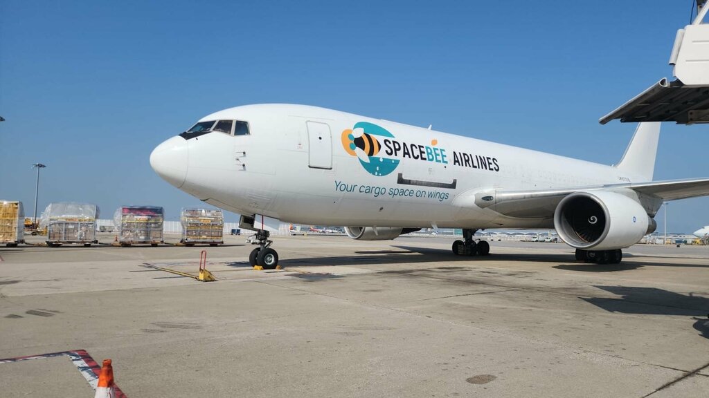 Airline Spacebee Airlines, Tashkent, photo