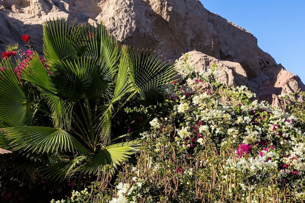 Фото Бедуин мун отель Дахаб