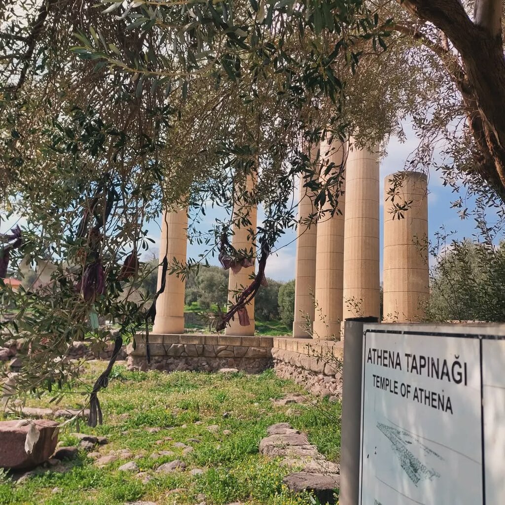Landmark, attraction Ancient Smyrna - Haci Mutzo Archaeological Site/Tepekule - Bayrakli Ruins, Izmir, photo