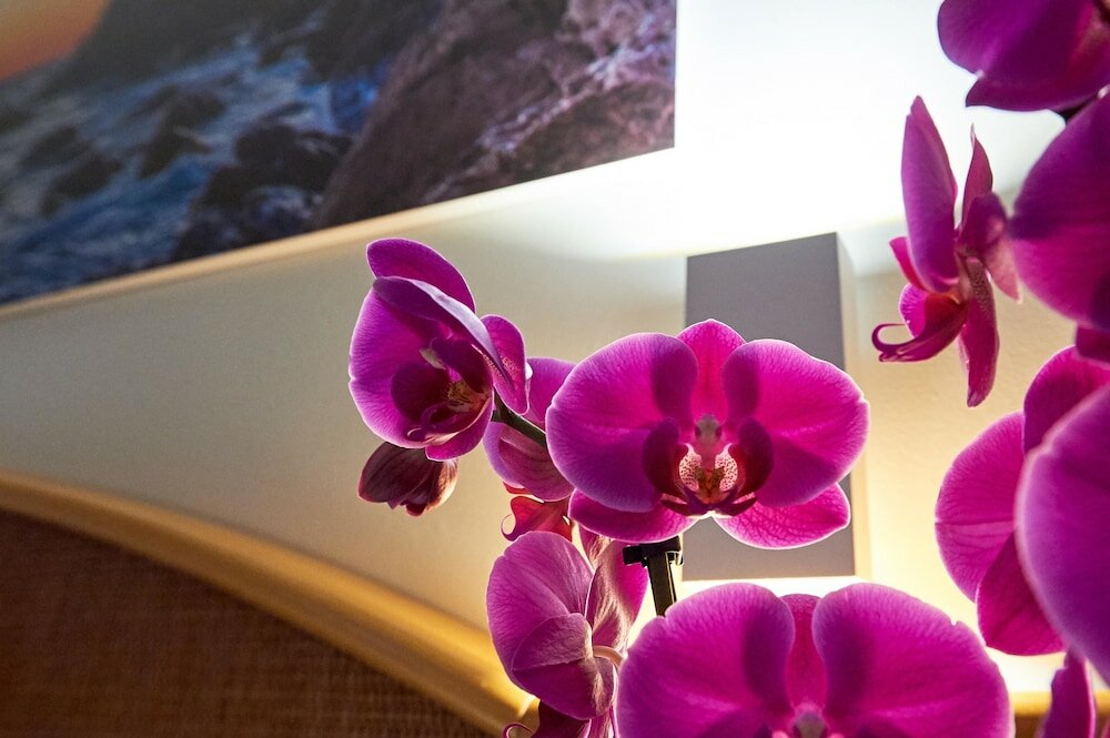 Фото Appartamento Croce di Malta