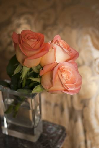 Фото Alvear Palace