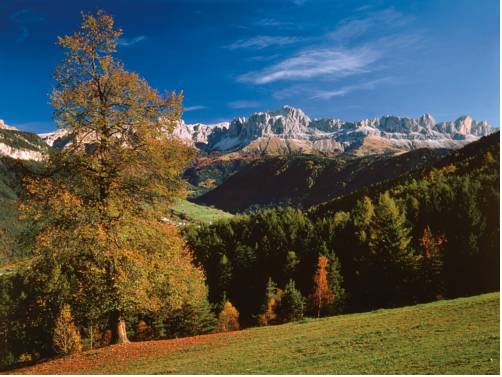 Фото Hotel Linde