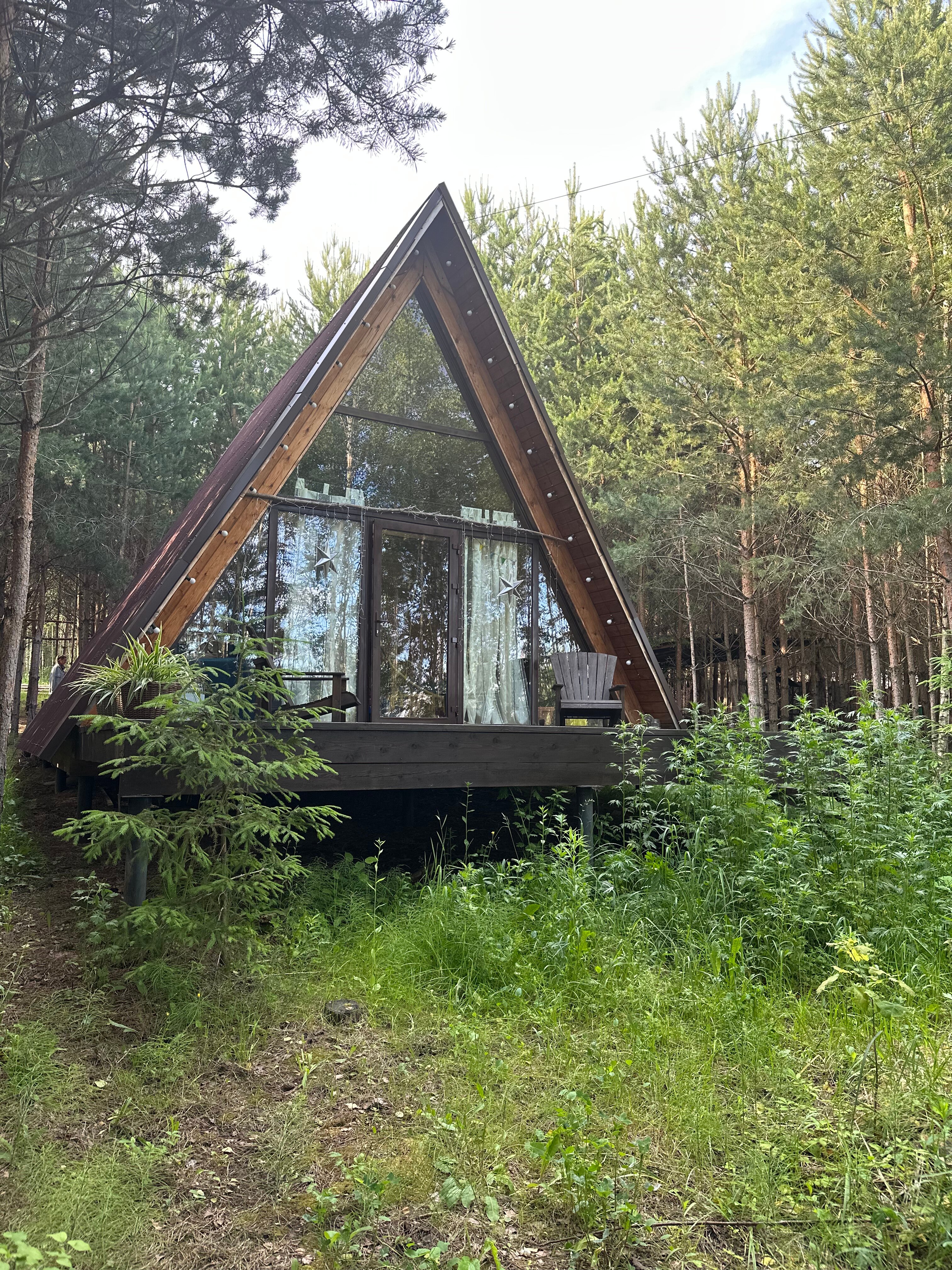 Фото О, Дни в Лесу