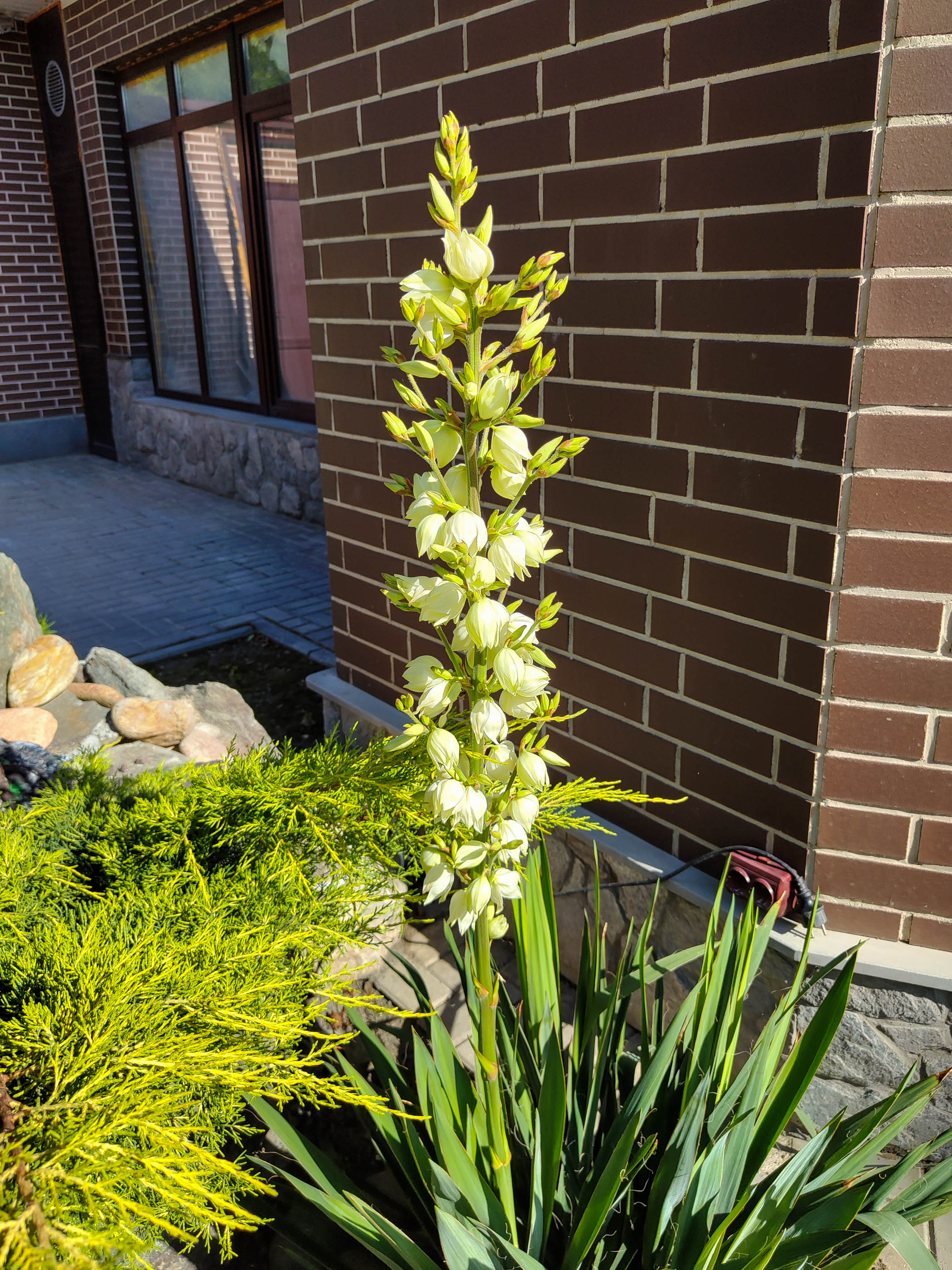 Фото Синегорье