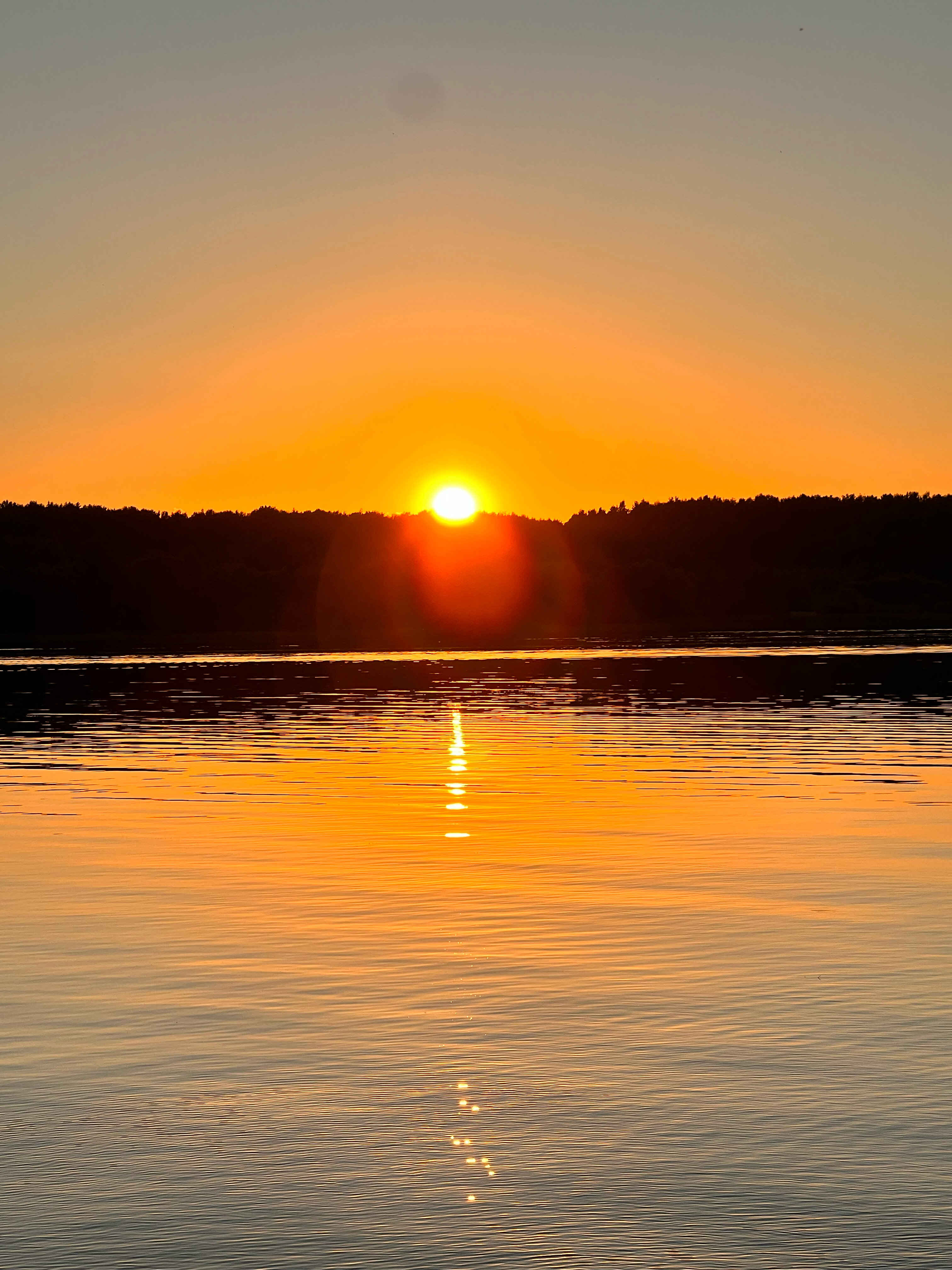 Фото Белая Морошка