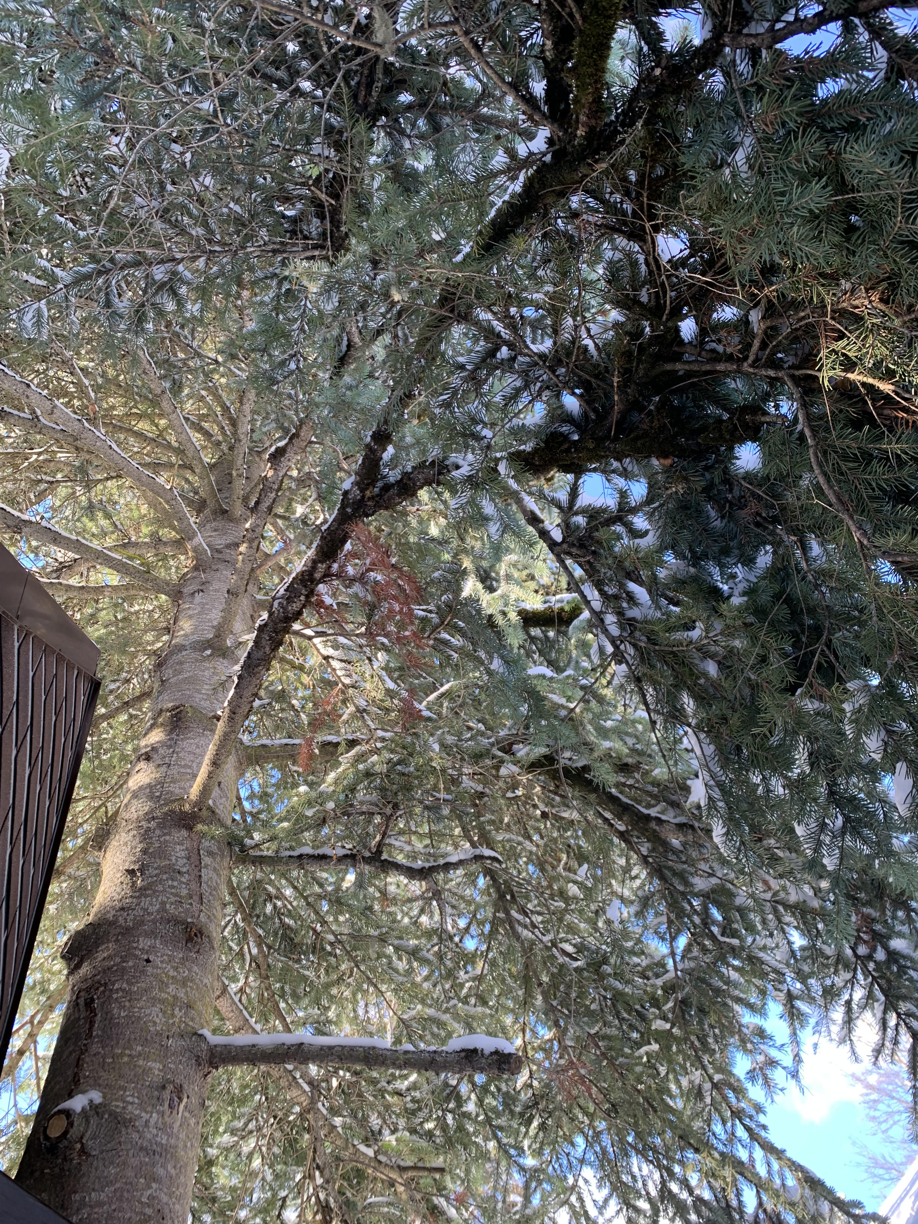 Фото Путник