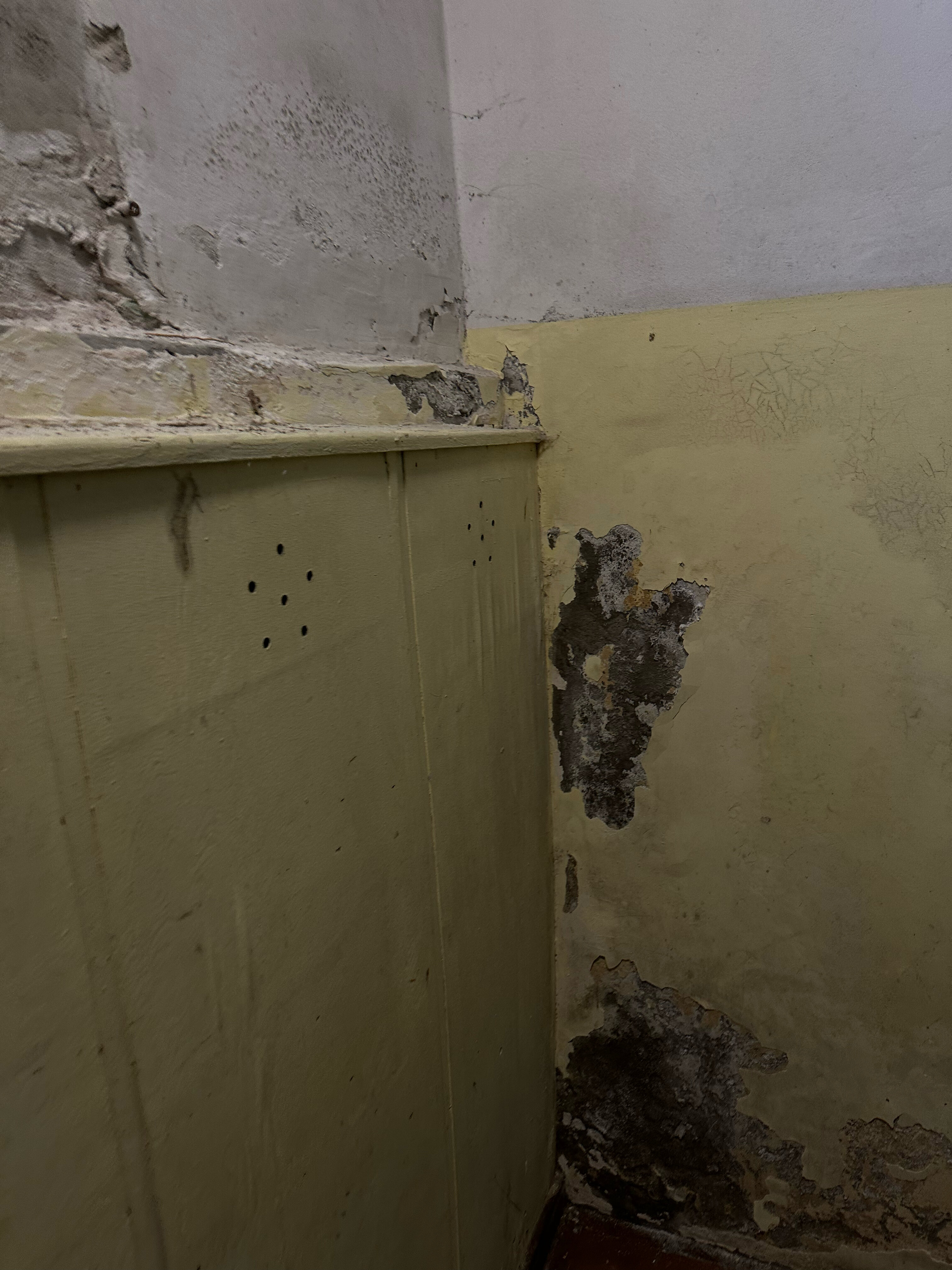 Фото Хаапалампи