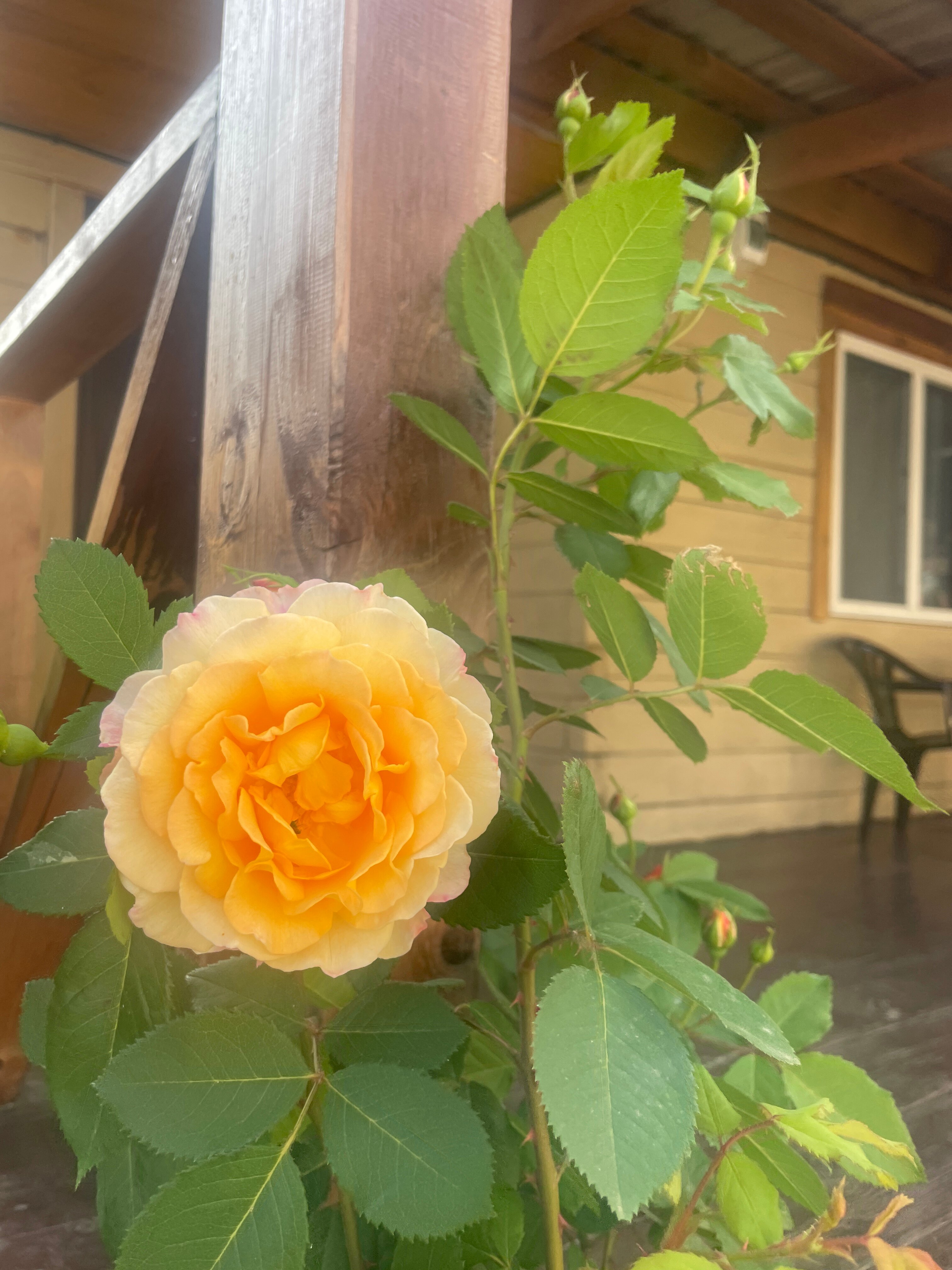 Фото Имидж Байкал