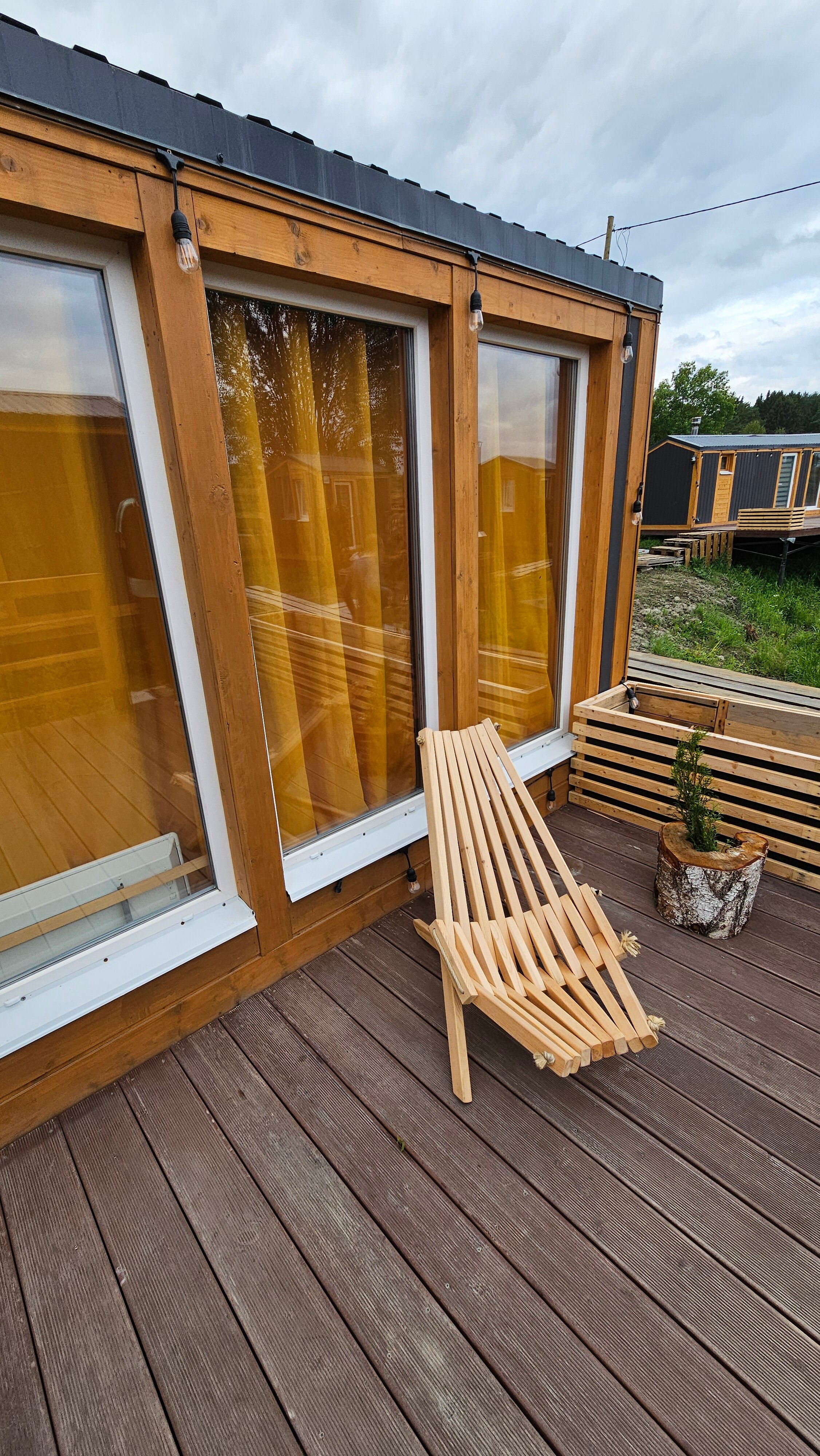 Фото Ёлки-Ладога