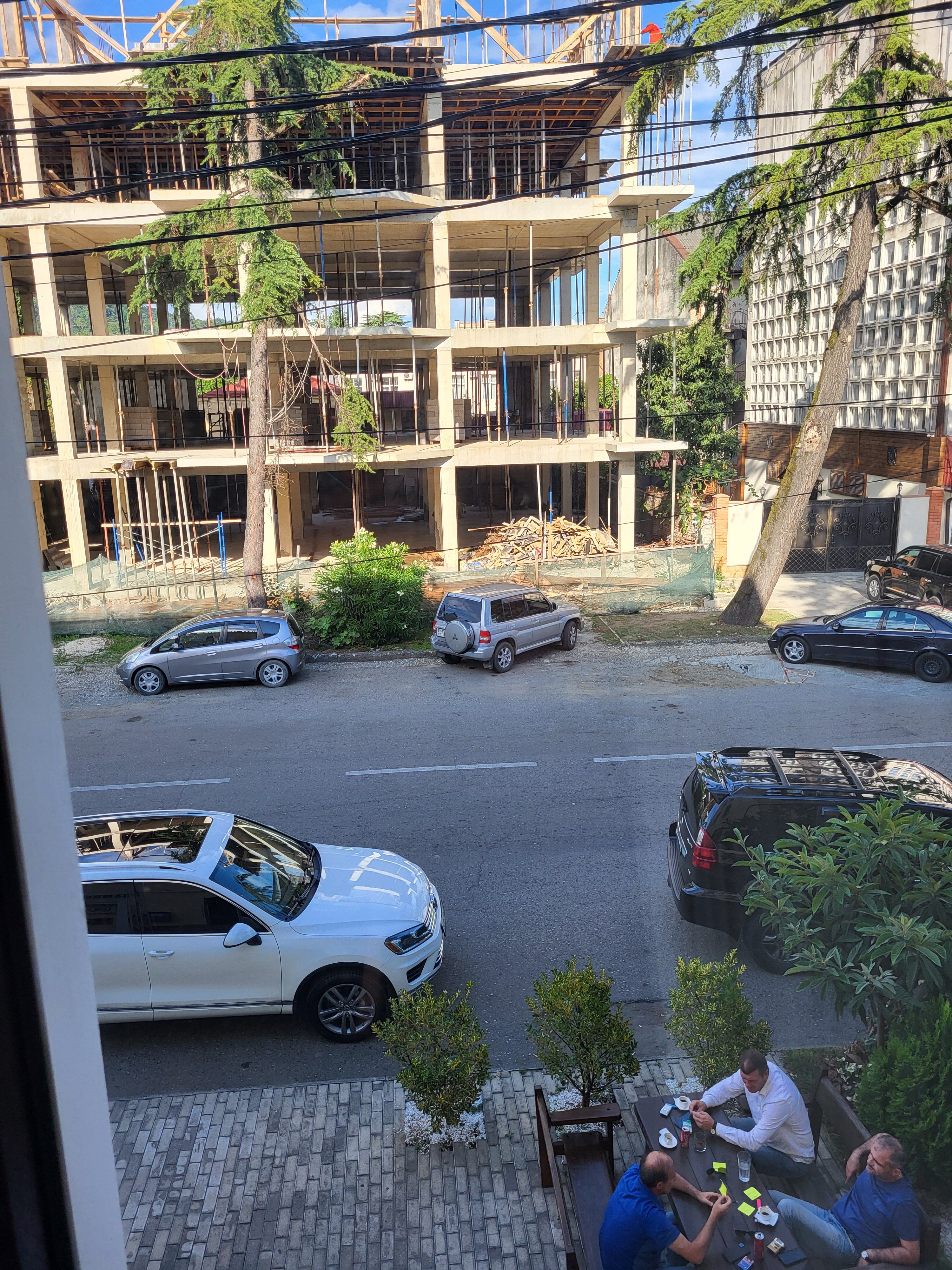 Фото Диоскурия