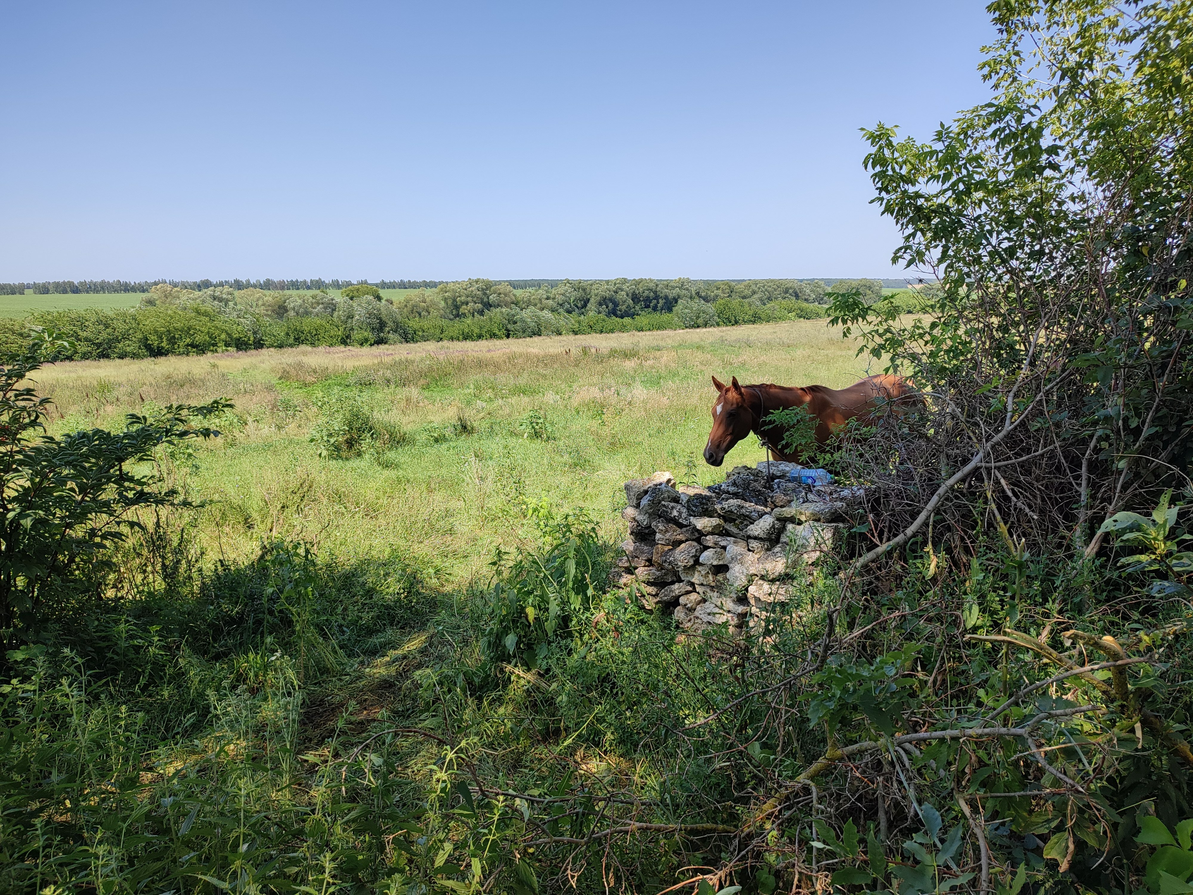 Фото Старая мельница