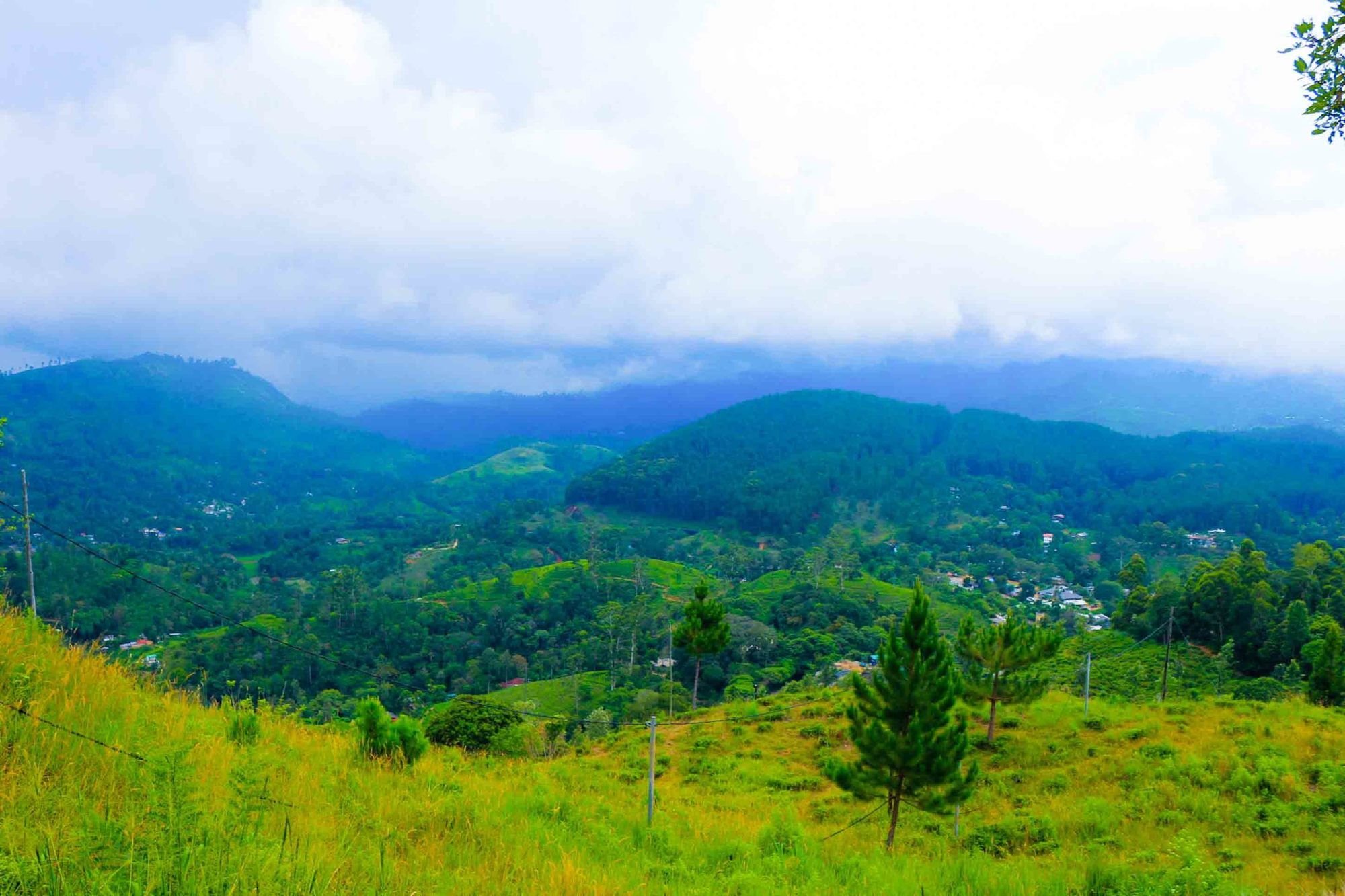 Фото Hill Forest Cottage