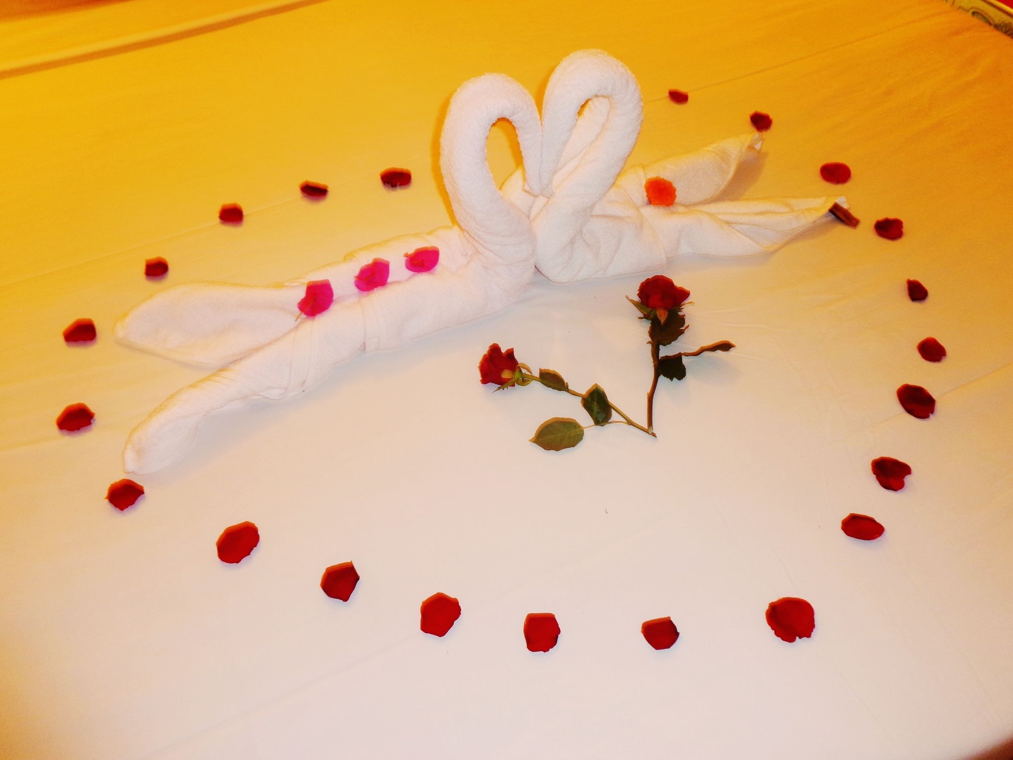 Фото Gingergrass Homestay