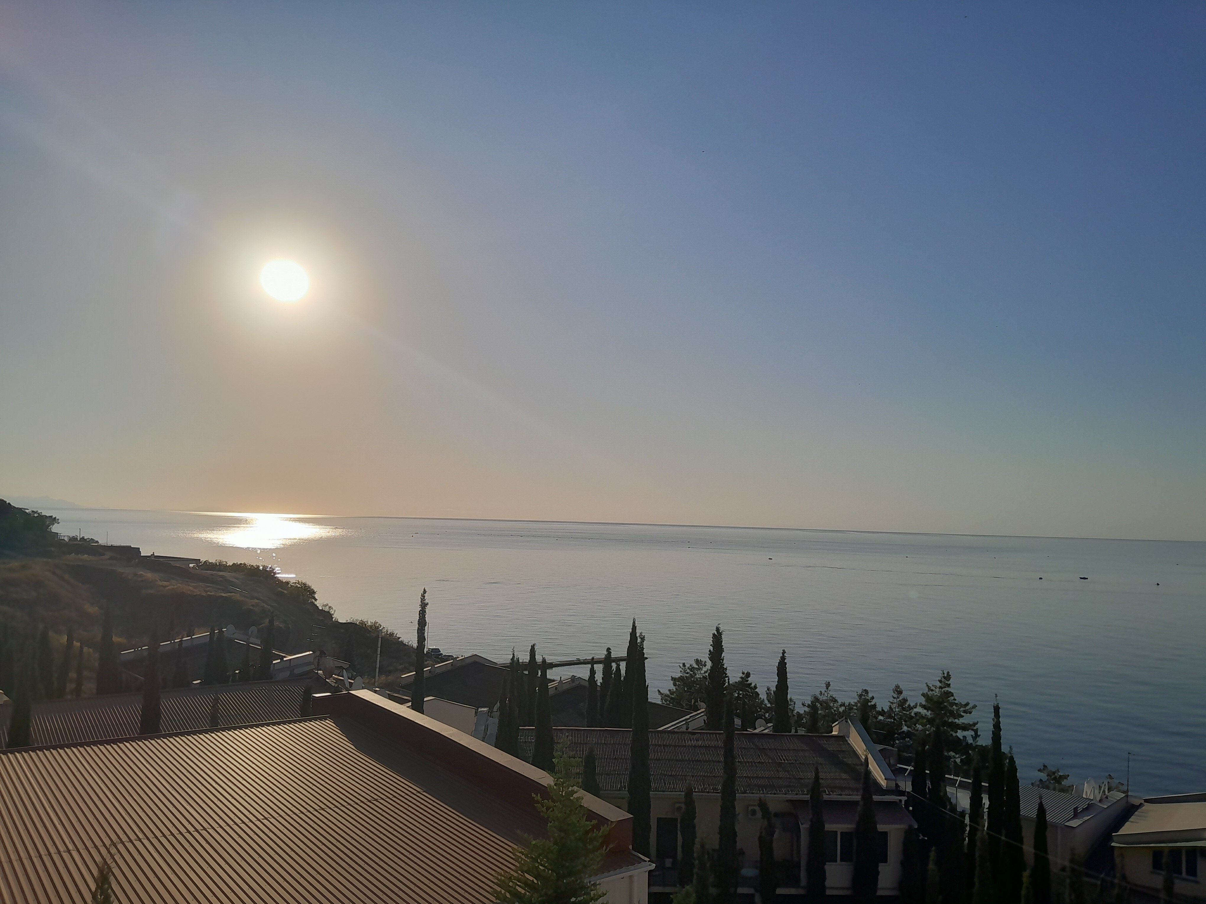 Фото Лаванда