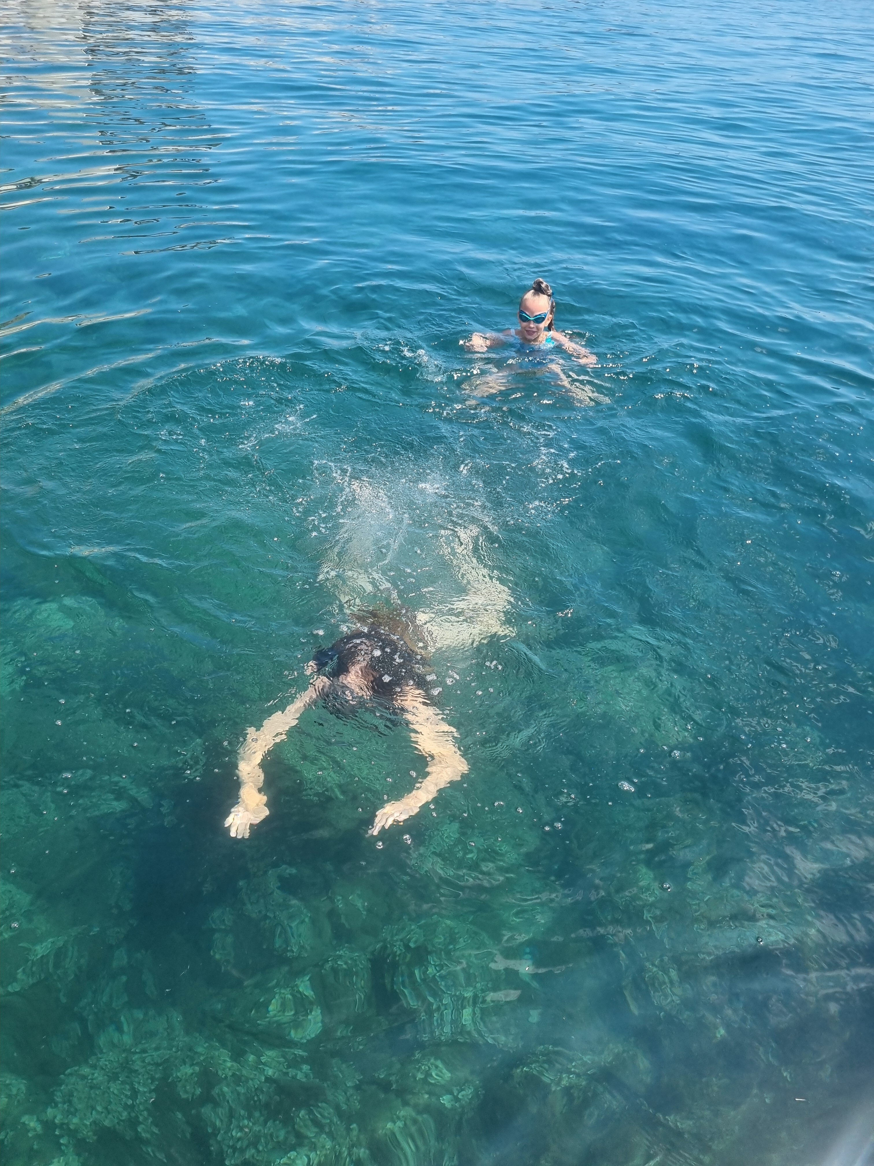 Фото Магарач