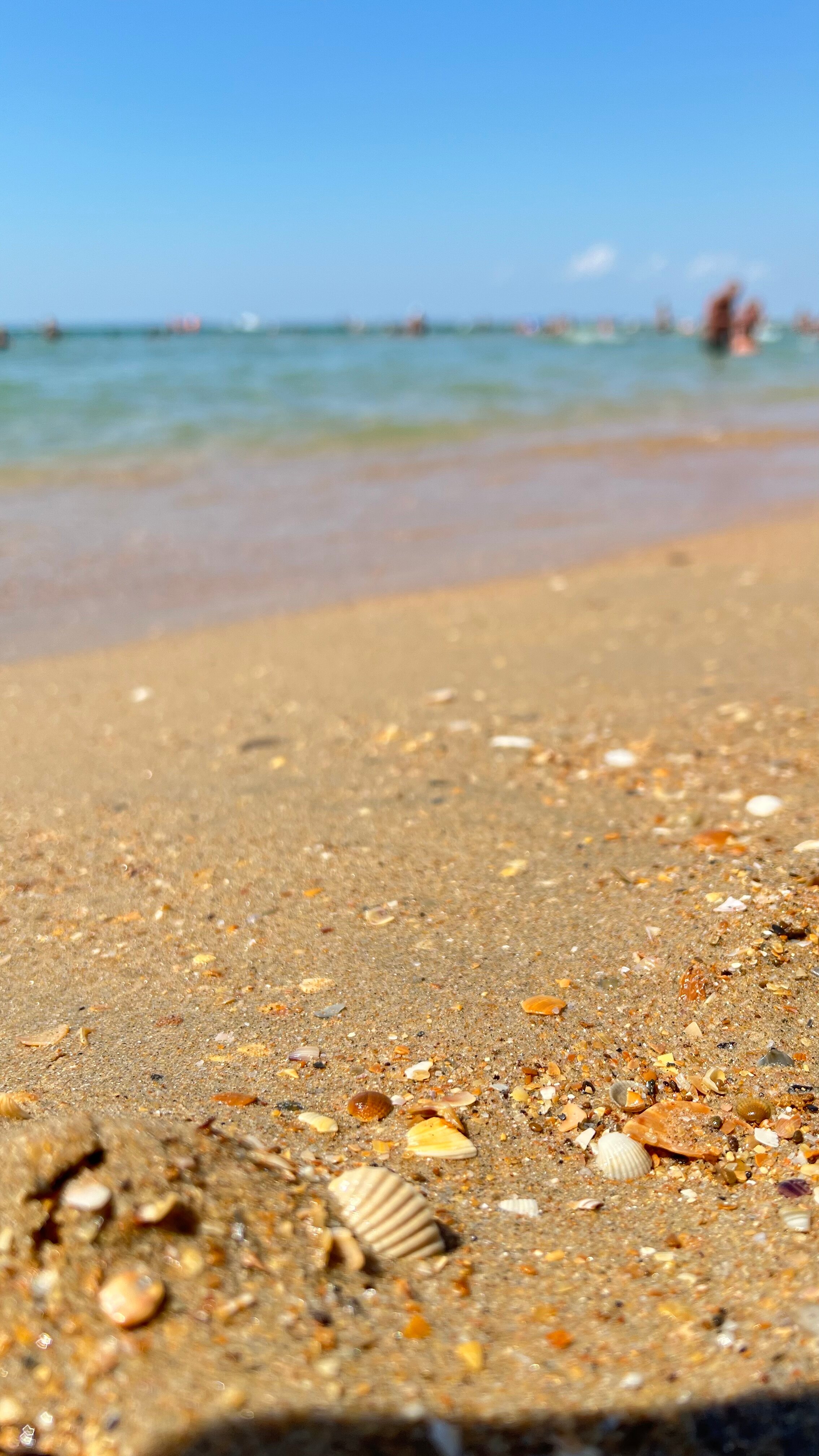 Фото Лето·отель