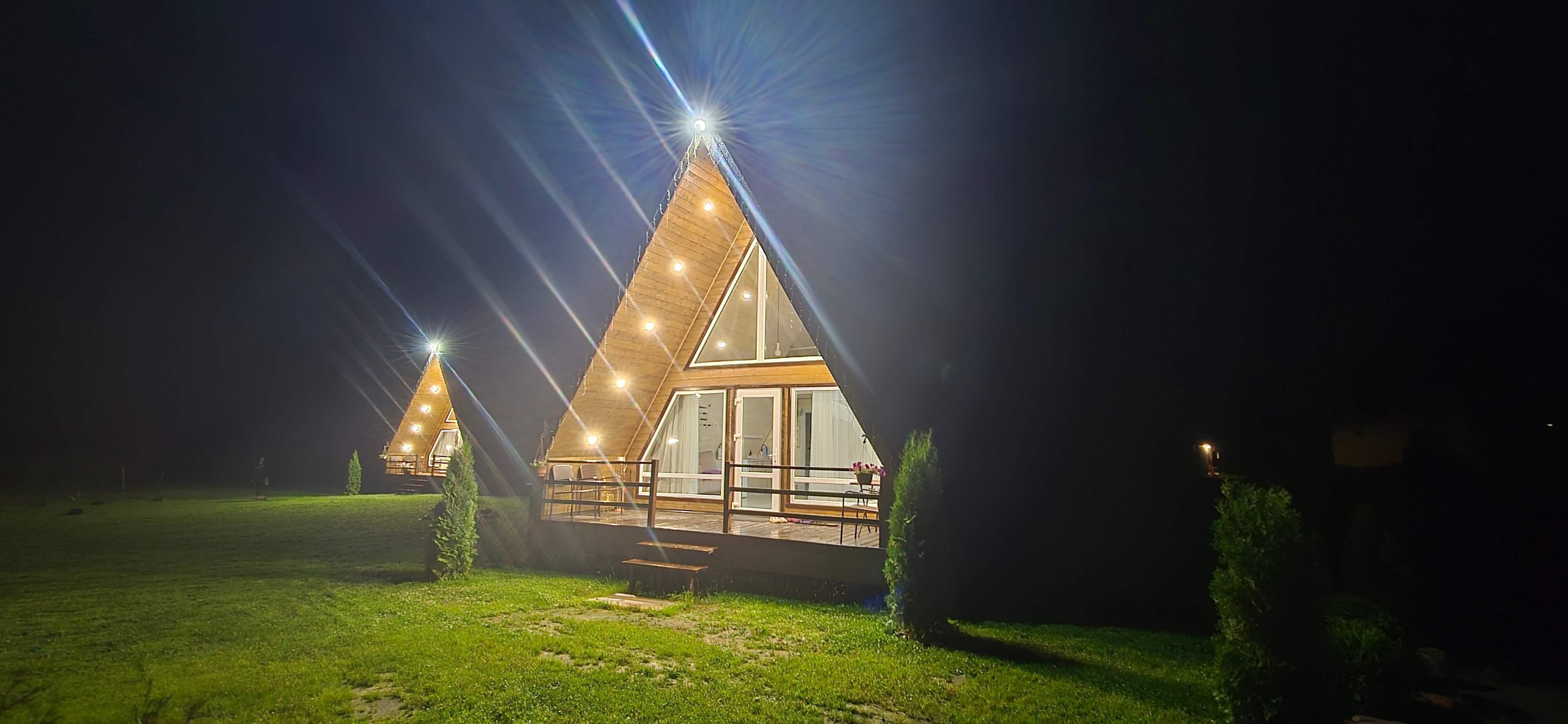 Фото Волшебный лес