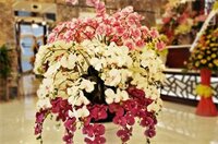 Фото Tay Bac Hotel