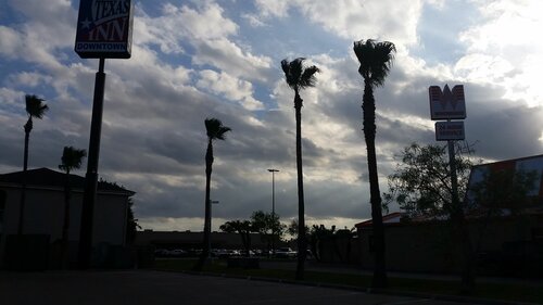 Гостиница Texas Inn Downtown McAllen в Рейносе