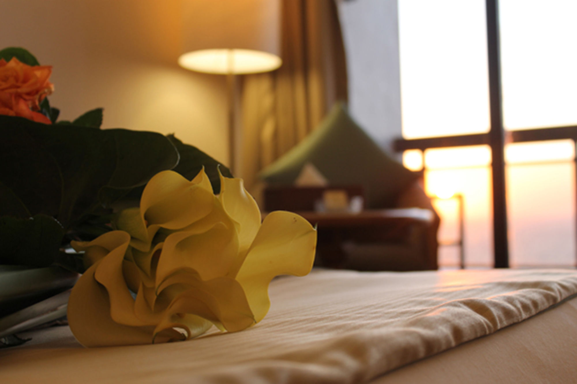 Фото Плаза отель