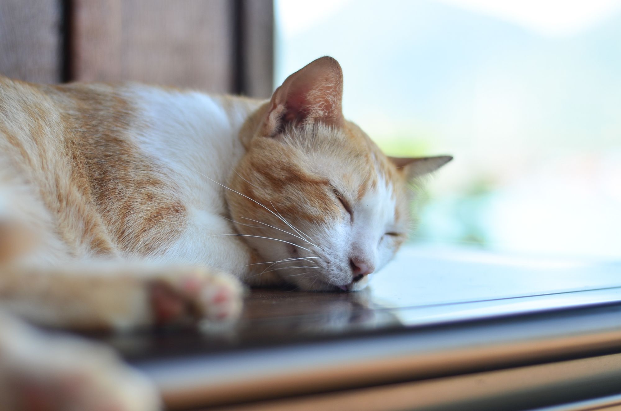 Фото Bhuvarin Resort