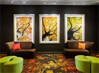 Фото Sheraton Springfield Monarch Place Hotel