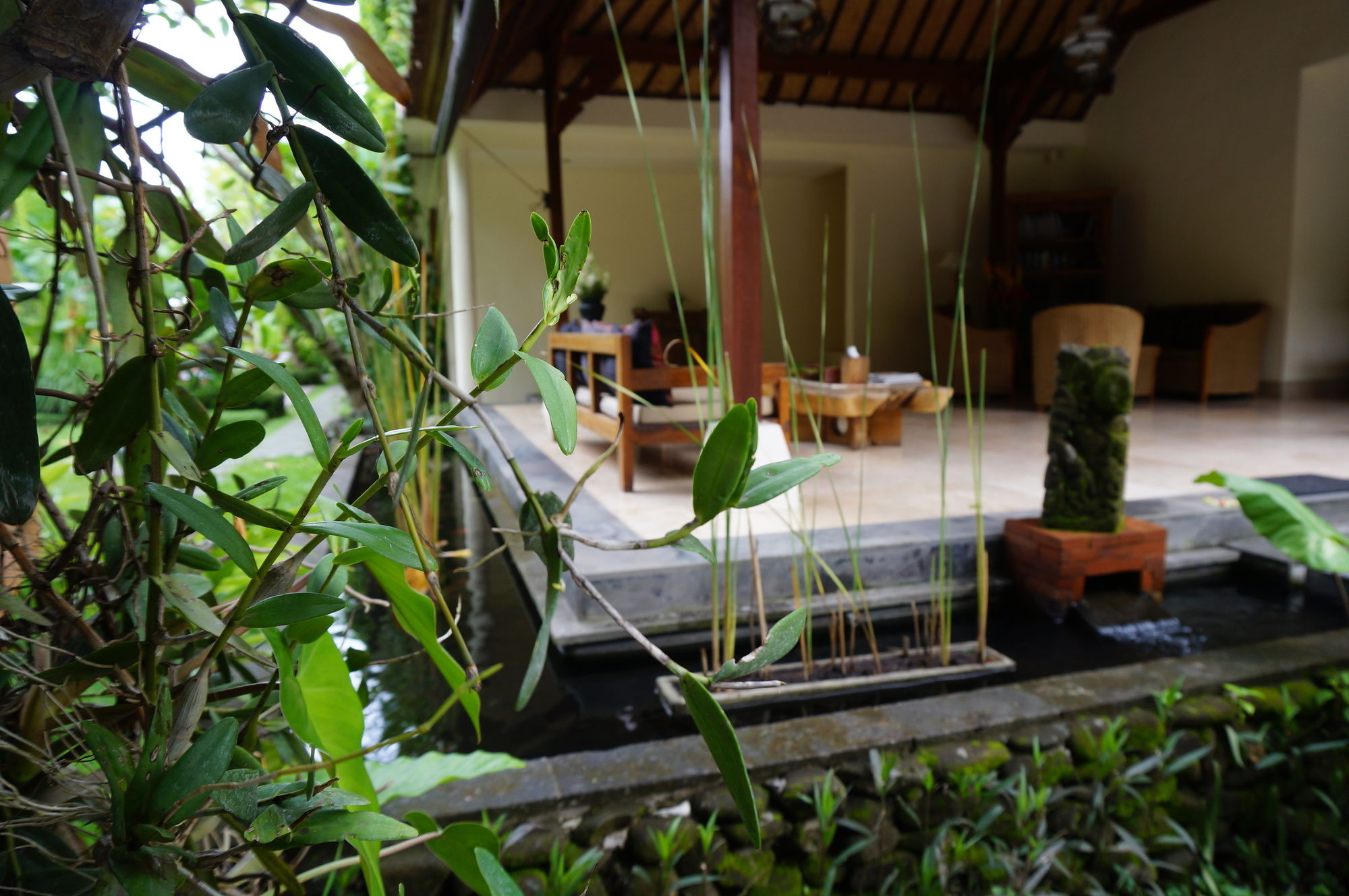 Фото Sapodilla Ubud