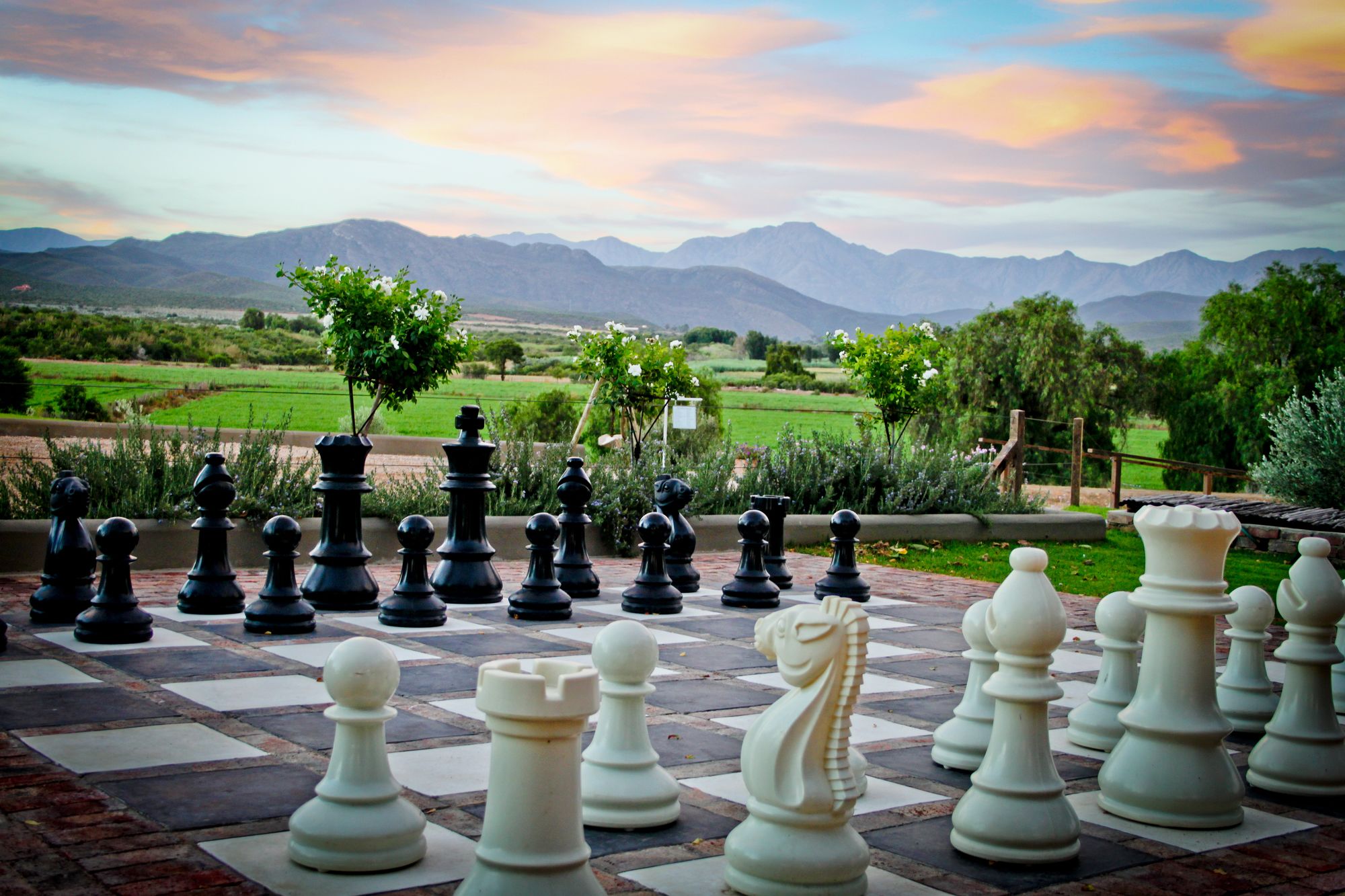 Фото Surval Boutique Olive Estate