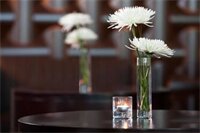 Фото The Westin Edina Galleria