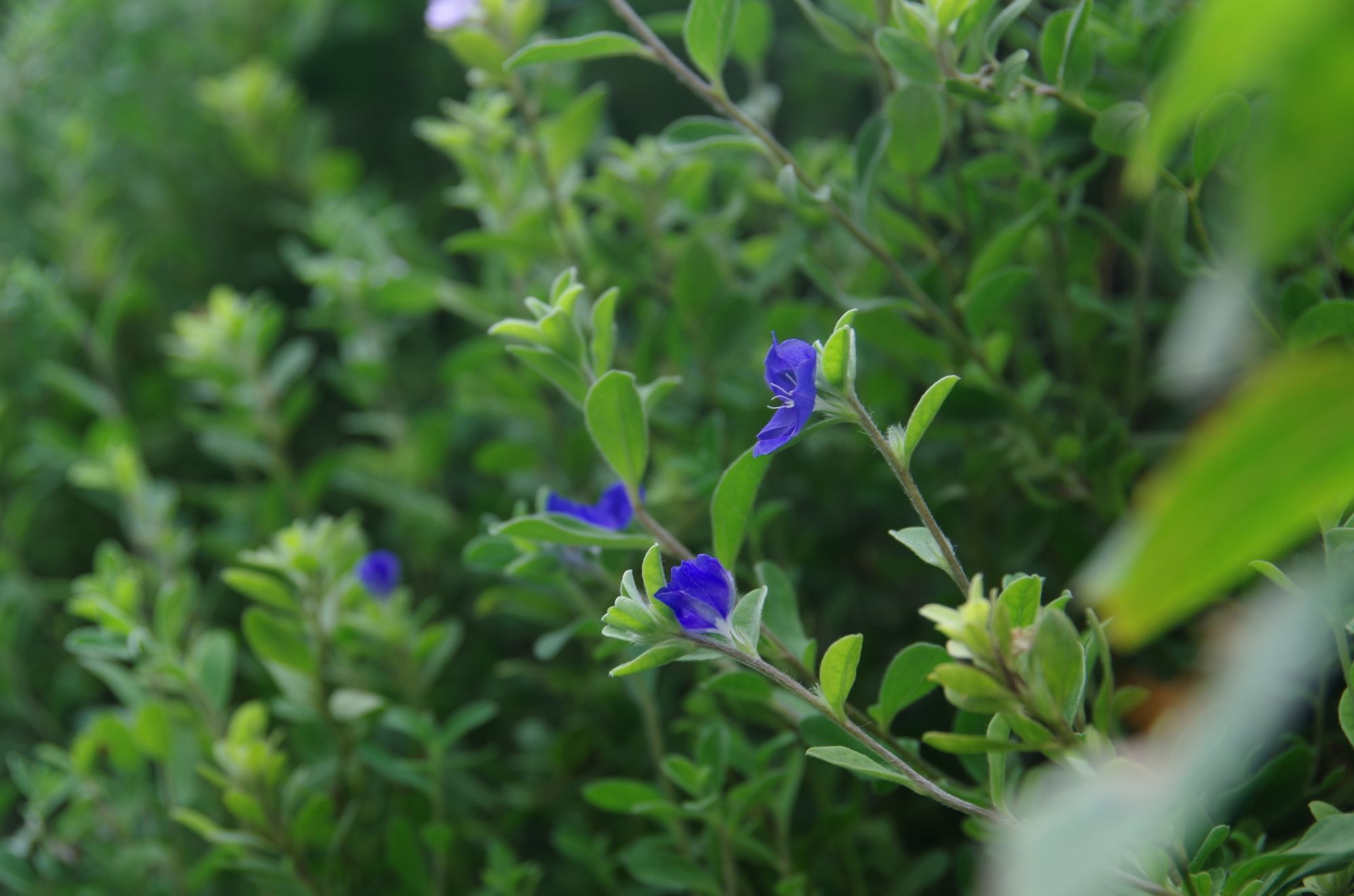 Фото Ngoc Chau Hotel