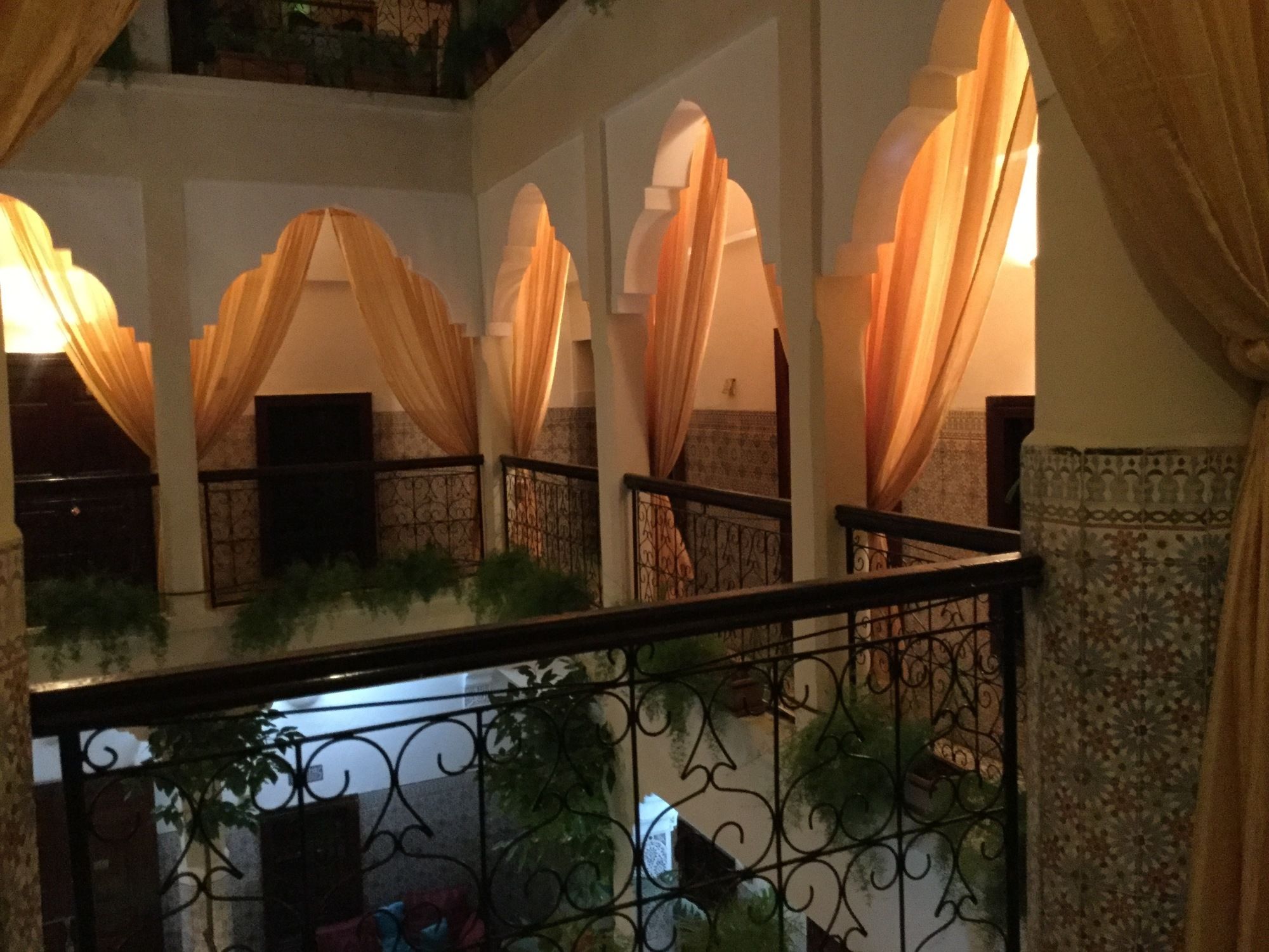 Фото Abélia Riad