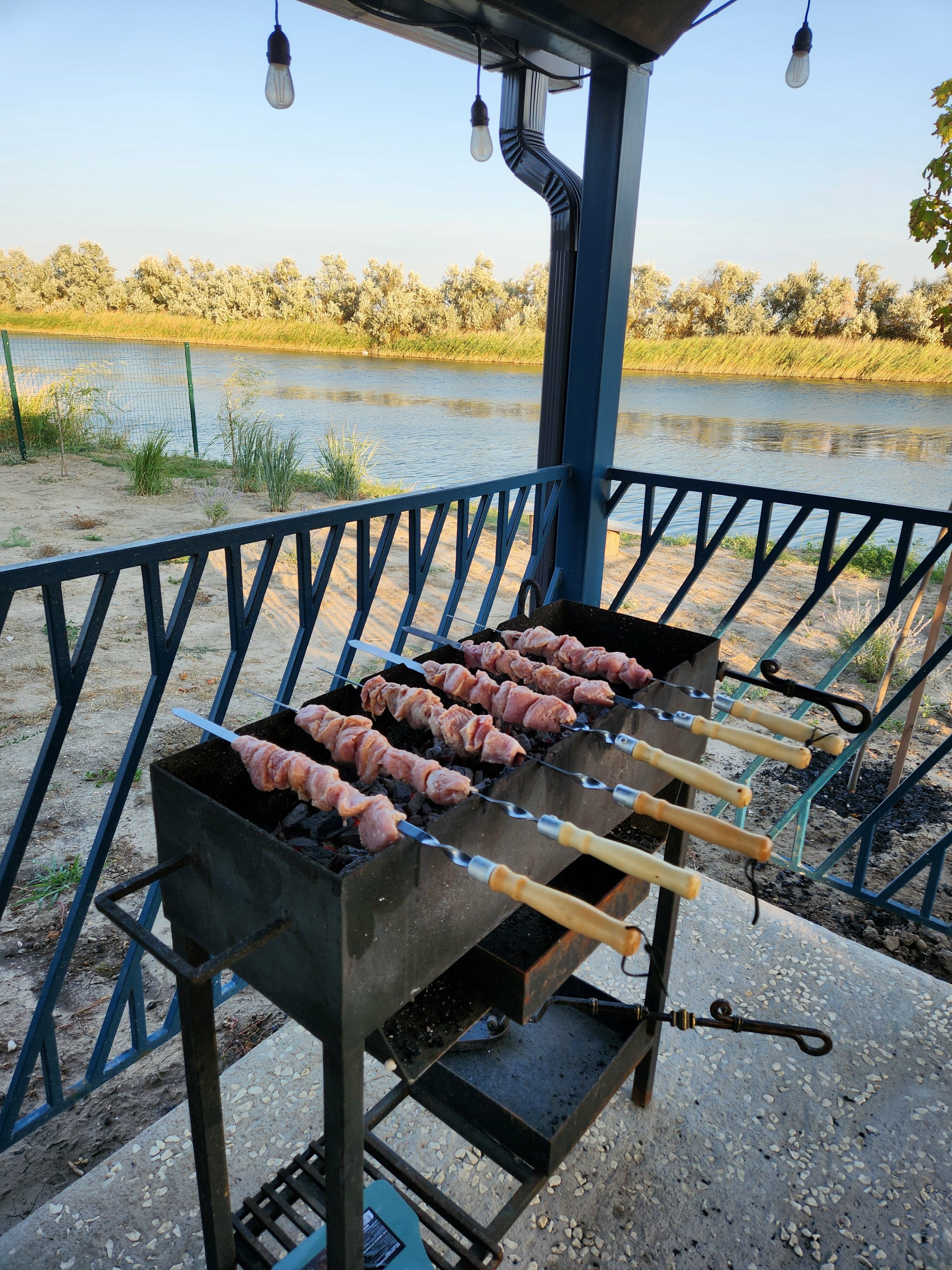 Фото Ботаники