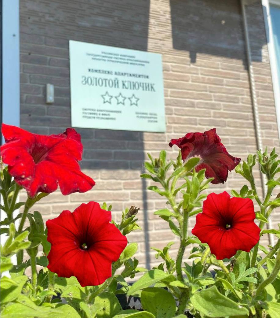 Фото отеля 4