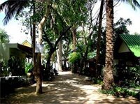 Фото Wind Beach Resort