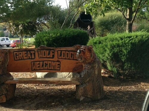 Гостиница Great Wolf Lodge Traverse City