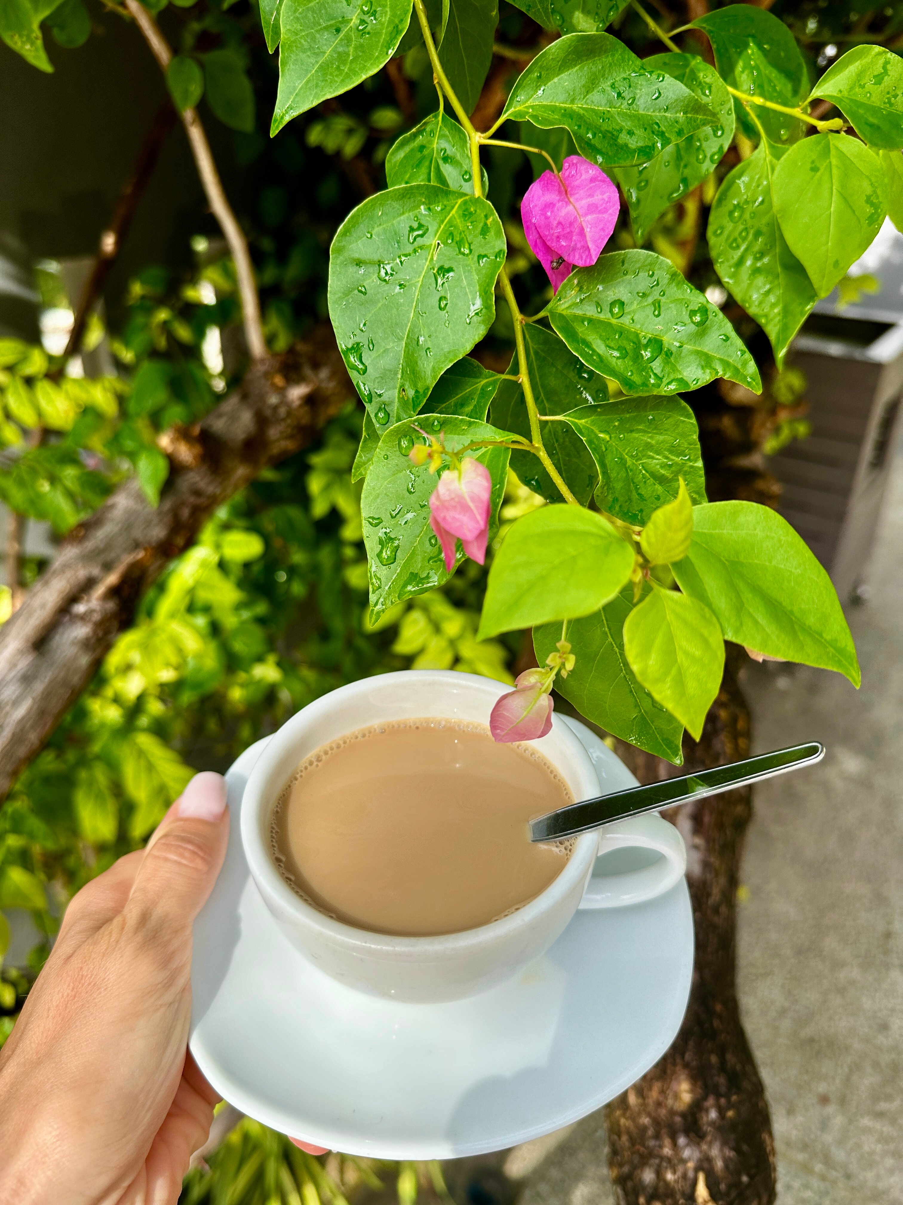 Фото Tuana Hotels Casa Del Sol