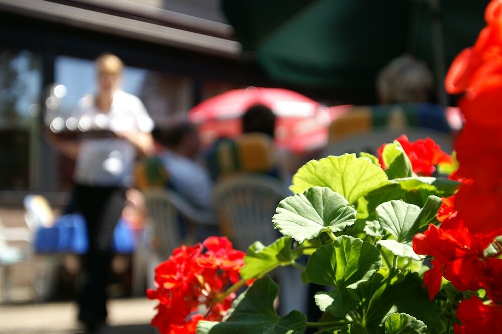 Фото Hotel Buschhausen