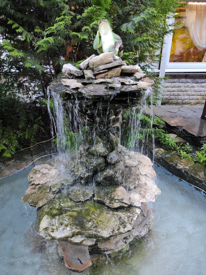 Фото Ромашка