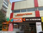 Хатико96.рф (Bisertskaya Street, 26), pet shop