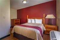 Фото voco The Darwin Atlanta Midtown by IHG