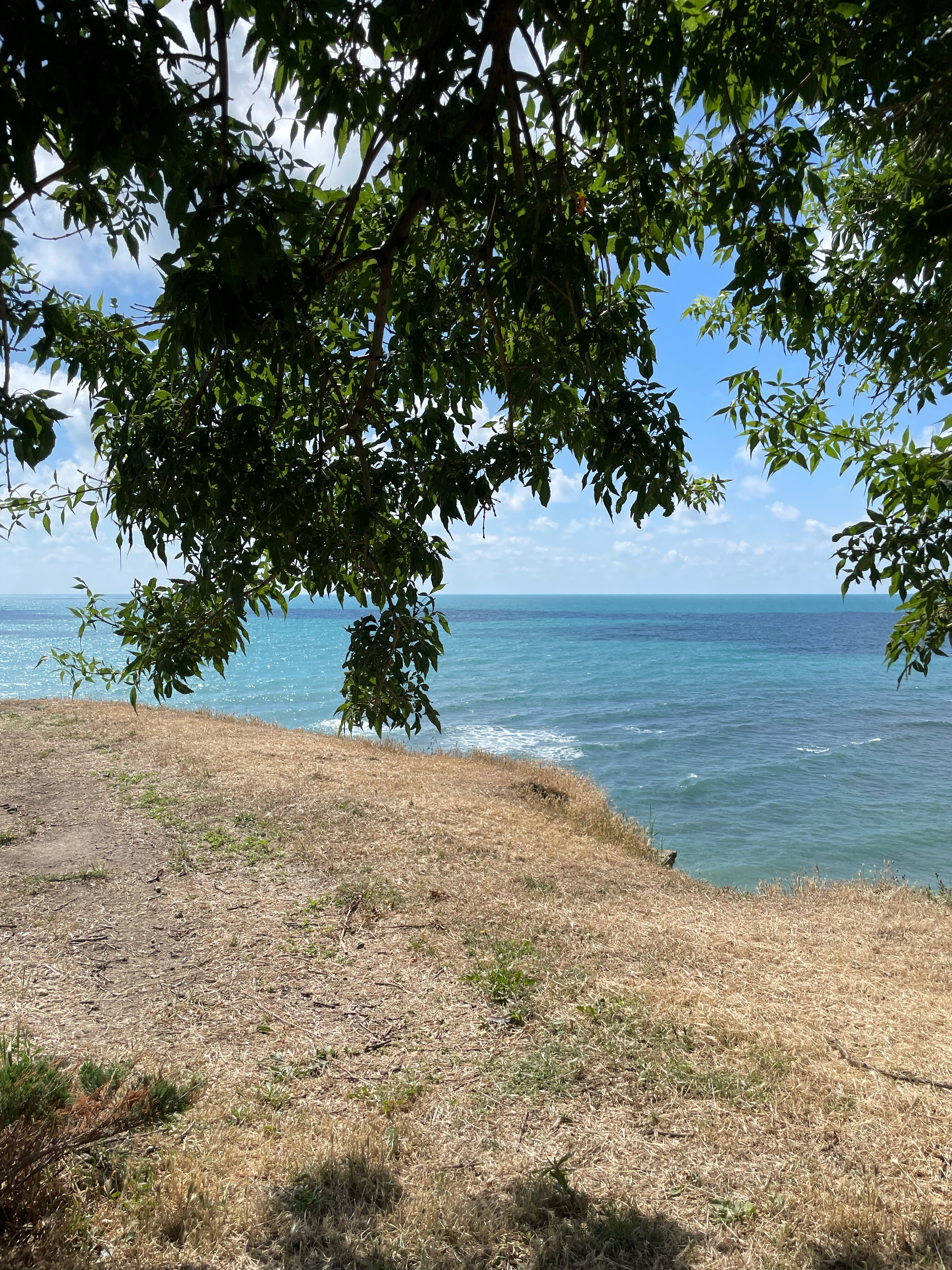 Фото Атлант