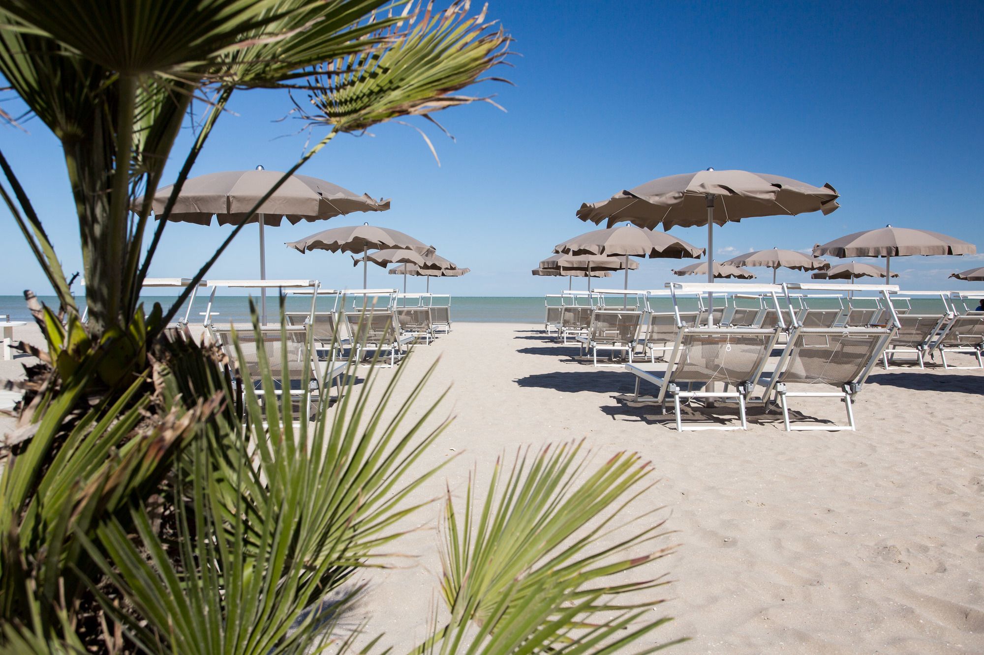 Фото Hotel Solemare