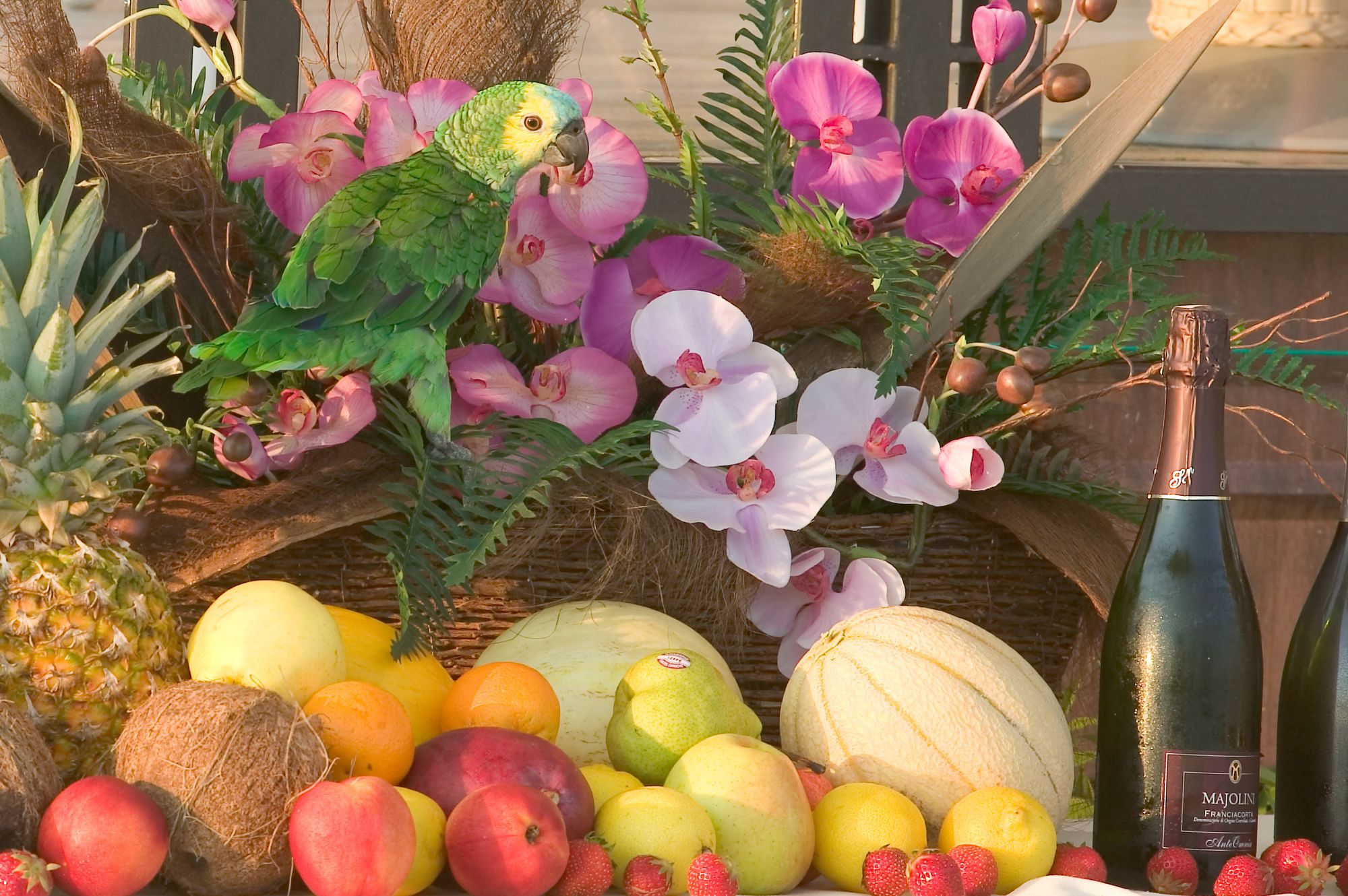 Фото Hotel La Rondine