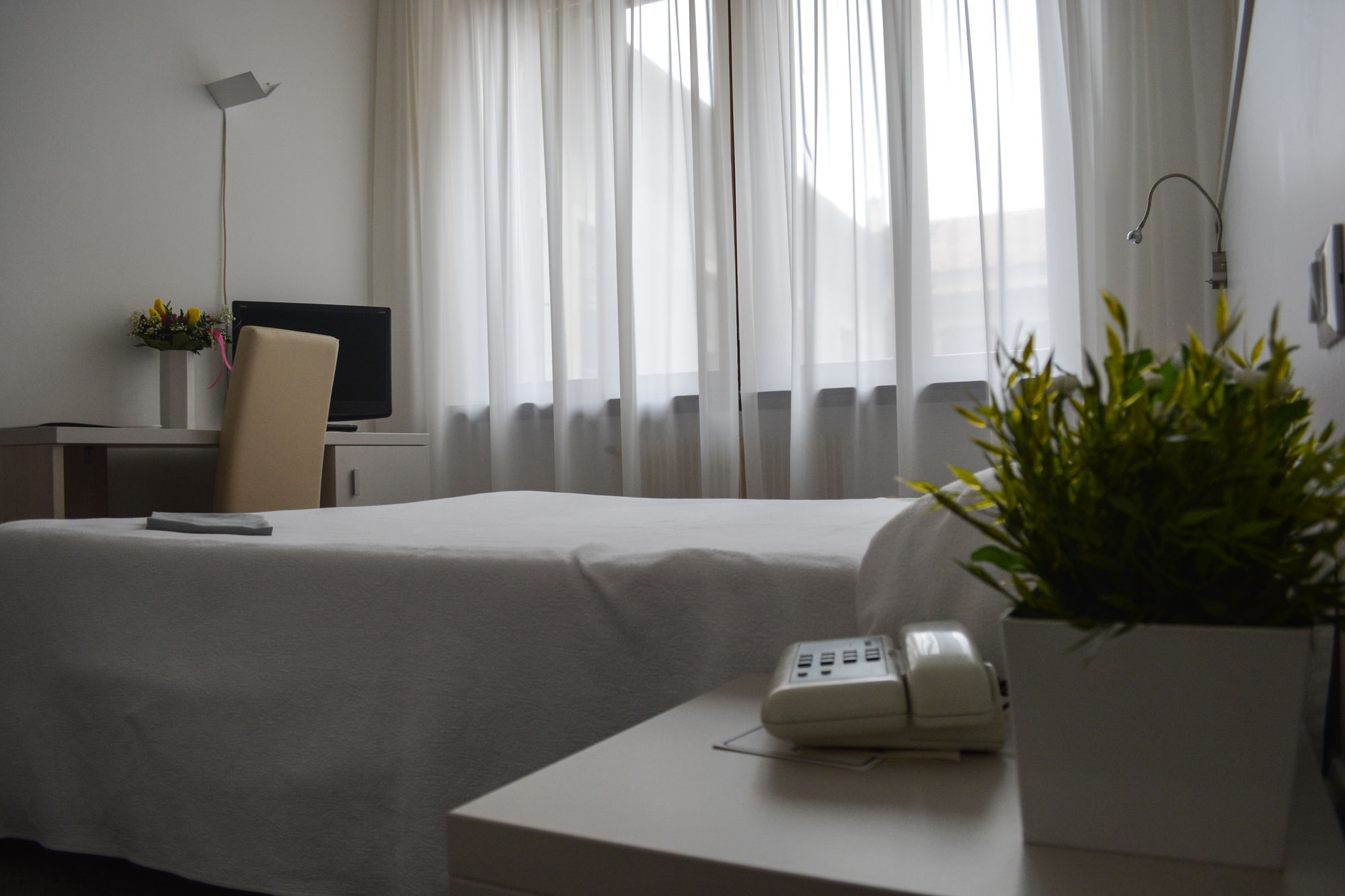 Фото Hotel Accademia Trento